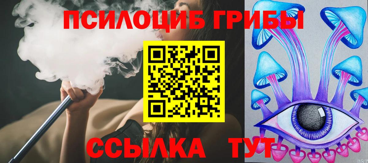 Тверь  где найти   Вход с VPN  Псилоцибиновые грибы Psilocybine cubensis 